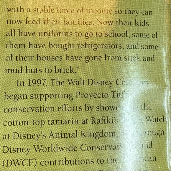 🛑Handmade in Colombia. This “mochilla” supports Proyecto Titi. - Picture 6 of 12